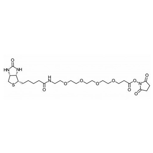 Biotin-PEG4-NHS ester
